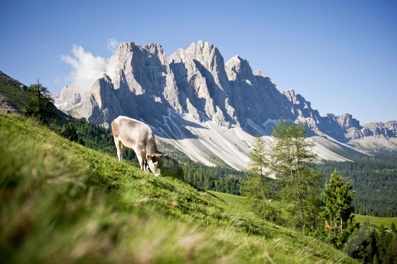 Raschoetzhof Funes  Exteriér fotografie